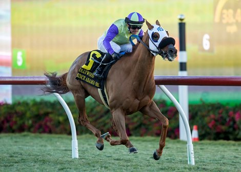 Prince Abama Gives D’Amato Hollywood Turf Cup Win
