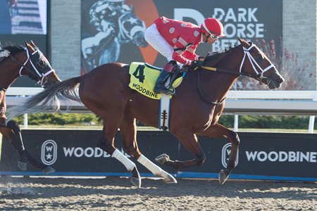 Bluebirds Over wins the Grey Stakes at Woodbine