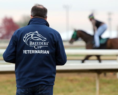 An equine veterinarian observes horses before the 2022 Breeders' Cup at Keeneland