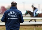 Breeders&#39; Cup Veterinarian Team overseeing the horses at Keeneland on November 2, 2022. Photo By: Chad B. Harmon