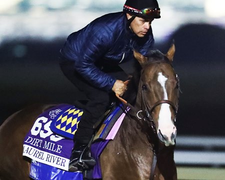 Laurel River trains Nov. 2 at Keeneland 