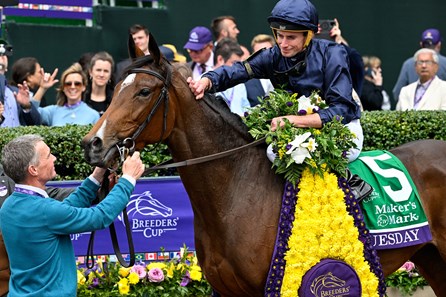 2022 Breeders' Cup - Wikipedia