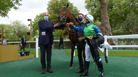 King's Harlequin sold to Katsumi Yoshida's Northern Farm for 600,000gns