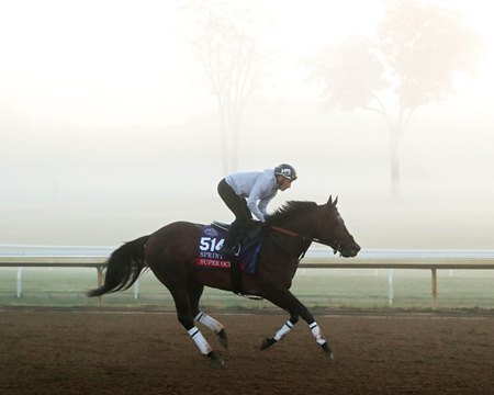 Super Ocho trains at Keeneland Racecourse ahead of the Breeders' Cup
