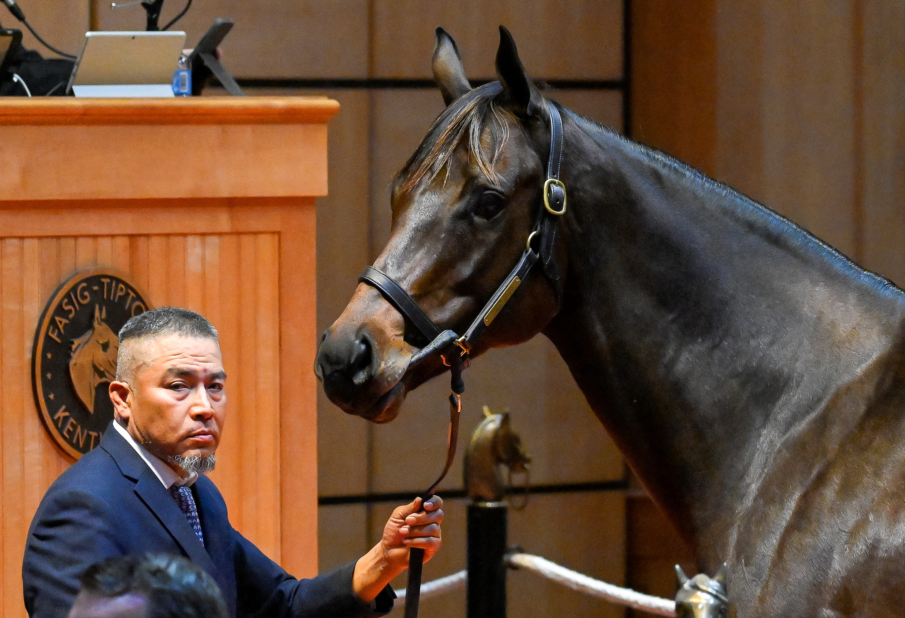 Coin Broker Horse Profile BloodHorse