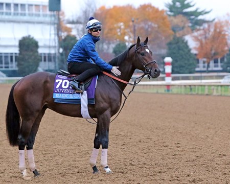 Blazing Sevens on the track at Keeneland