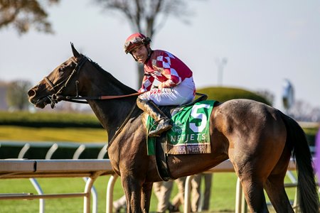 D. J. Stable's Wonder Wheel, after winning the 2022 Breeders' Cup Juvenile Fillies at Keeneland