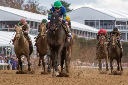 Goodnight Olive streaks home in the Breeders' Cup Filly & Mare Sprint at Keeneland