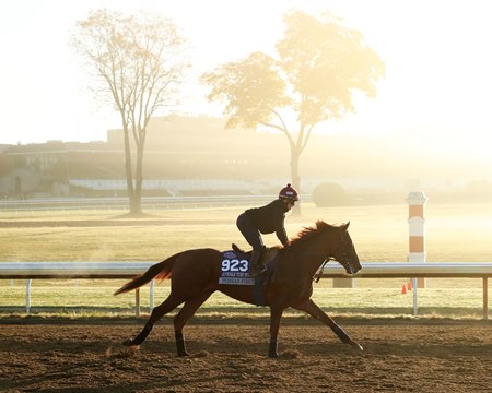 Persian Force trains ahead of the Breeders' Cup at Keeneland