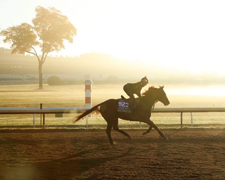 Persian Force ahead of the 2022 Breeders' Cup Juvenile Turf Sprint at Keeneland