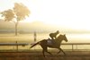 Persian Force - Morning - Keeneland - 11-03-22