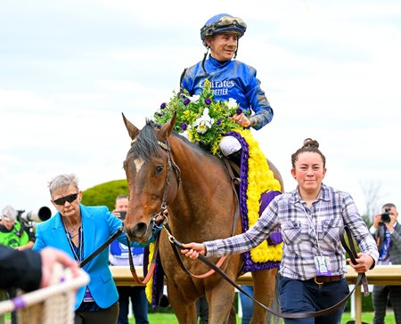 Cody's Wish after winning the Breeders' Cup Dirt Mile at Keeneland 