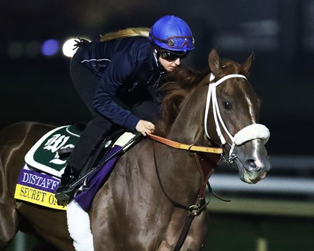 Secret Oath trains ahead of her fifth-place finish in the 2022 Breeders' Cup Distaff at Keeneland