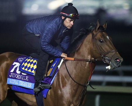 National Treasure trains before his third-place finish in the 2022 Breeders' Cup Juvenile at Keeneland