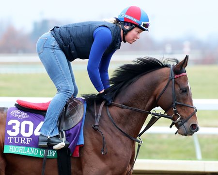 Highland Chief training at Keeneland ahead of the Breeders' Cup