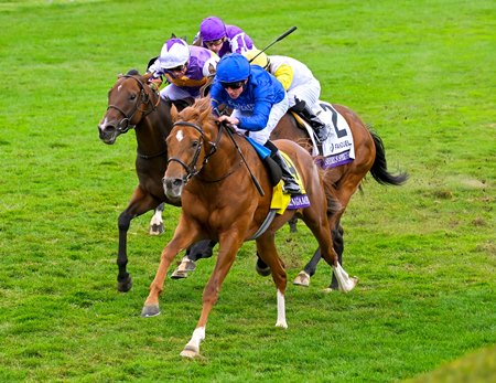 Modern Games wins the 2022 Breeders' Cup Mile at Keeneland