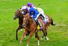 Modern Games with William Buick wins the Mile (G1T) at Keeneland in Lexington, KY on November 5, 2022.