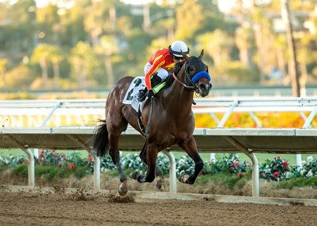 Havnameltdown wins the Bob Hope Stakes at Del Mar