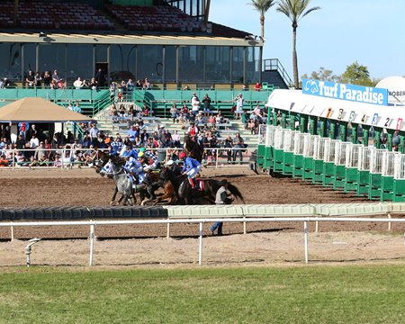 Racing at Turf Paradise