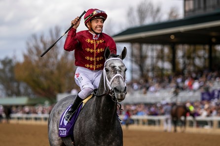 Breeders' Cup Winner Twilight Gleaming Heads Mamzelle - BloodHorse