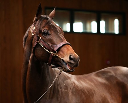 Life Is Good at WinStar Farm