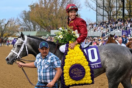 Caravel after winning the Breeders' Cup Turf Sprint at Keeneland