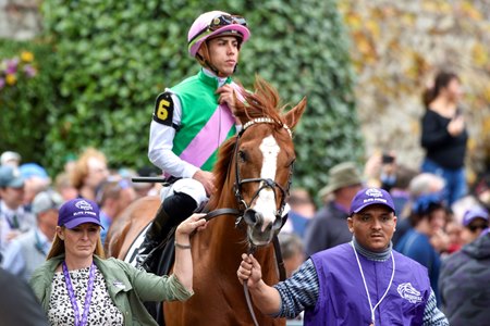 Irad Ortiz Jr. with Elite Power wins the Breeders' Cup Sprint at Keeneland