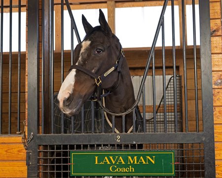 Lava Man at Old Friends