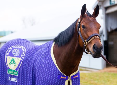 Slammed at Keeneland ahead of the 2022 Breeders' Cup