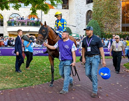 National Treasure ahead of last year's Breeders' Cup Juvenile