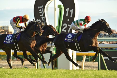 Vela Azul captures the Japan Cup at Tokyo Racecourse
