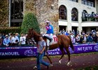 Night Time with with Junior Alvarado up walks through the paddock before the second race during the 2022 Breeders’ Cup World Championships at Keeneland in Lexington, Ky., Saturday, November 5, 2022. 