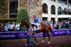 Night Time with with Junior Alvarado up walks through the paddock before the second race during the 2022 Breeders’ Cup World Championships at Keeneland in Lexington, Ky., Saturday, November 5, 2022. 