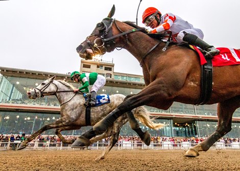 Horse for Class Surveillance Wins Thanksgiving Classic Horse for Class Surveillance Wins Thanksgiving Classic