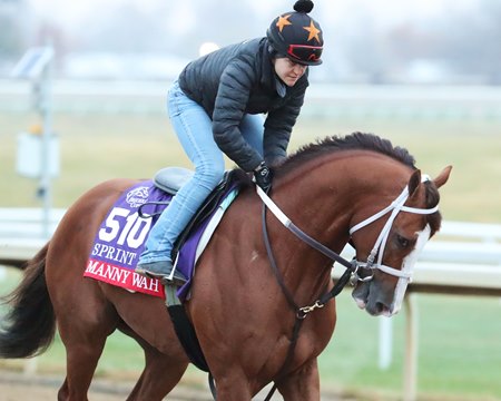 Manny Wah trains for the 2022 Breeders' Cup Sprint at Keeneland