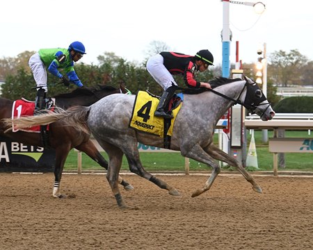 Champions Dream wins 2022 Nashua Stakes at Aqueduct Racetrack