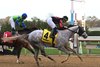 Champions Dream wins 2022 Nashua Stakes at Aqueduct