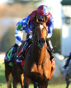 Victoria Road (IRE) - Horse Profile - BloodHorse