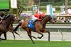 Dicey Mo Chara (GB) and jockey Juan Hernandez, right, win the Grade II $200,000 San Gabriel Stakes Monday, December 26, 2022 on opening day at Santa Anita Park, Arcadia, CA.
Benoit Photo