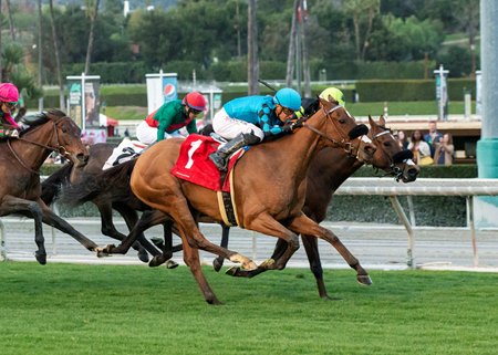 Racing at Santa Anita Park