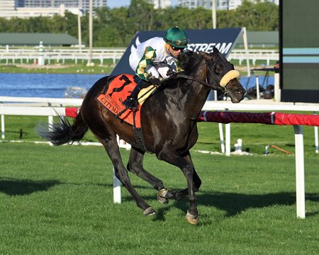 City Man wins the 2022 Ft. Lauderdale Stakes at Gulfstream Park