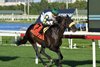 City Man wins the 2022 Ft. Lauderdale Stakes at Gulfstream Park