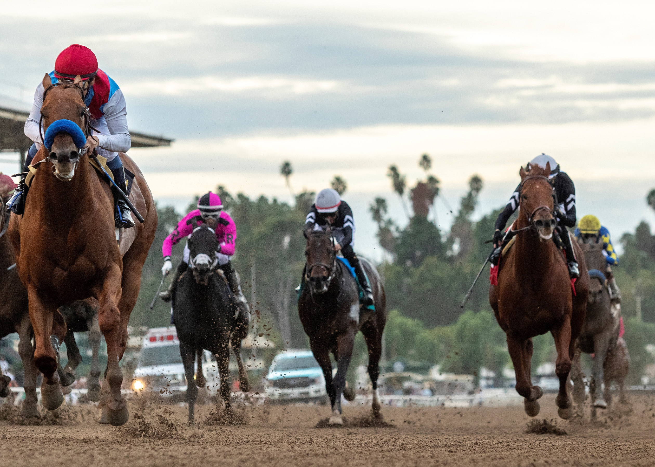 Dec 26 Action Kicks Off Santa Anita S 2023 24 Stakes BloodHorse   246ab91d169b420a8a704522ba4e09d8 