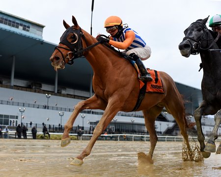Dubyuhnell wins the 2022 Remsen Stakes at Aqueduct Racetrack