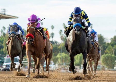 Racing at Santa Anita Park