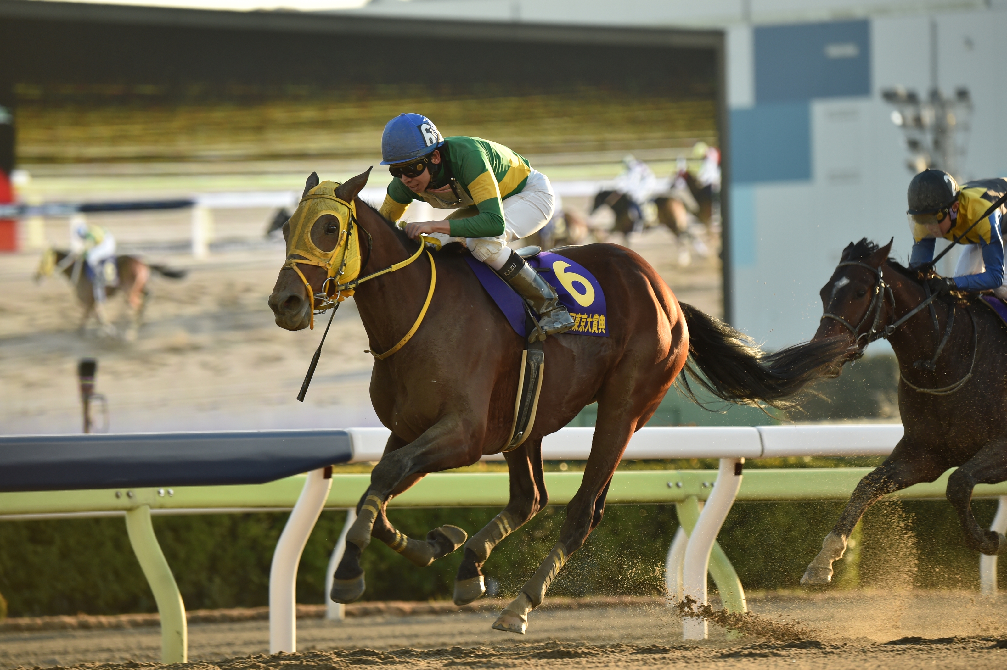 Ushba Tesoro Wins Tokyo Daishoten on the Oi Dirt - BloodHorse