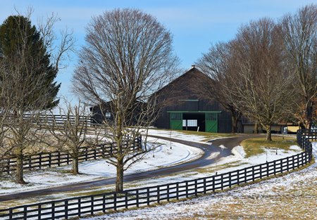 Watercress Farm