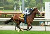 Air Force Red and jockey Juan Hernandez win the G2 $250,000 Joe Hernandez Stakes Saturday, December 31, 2022 at Santa Anita Park, Arcadia, CA.
Benoit Photo 