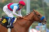 Taiba and jockey Mike Smith win the Grade I Malibu Stakes Monday, December 26, 2022 on opening day at Santa Anita Park, Arcadia, CA. Benoit Photo