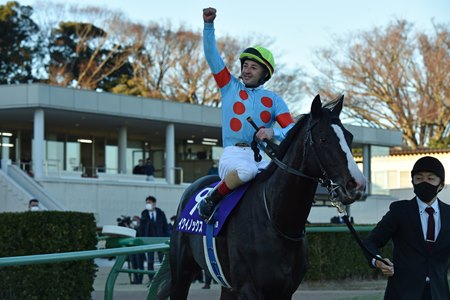 Equinox, winner of the 2022 Arima Kinen at Nakayama will not be returning to uphold his title this year